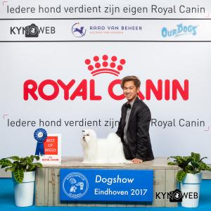 2112 EINDHOVEN 2017 Kynoweb Kynoweb-Ernst-von-Scheven 20170205 14 38 04