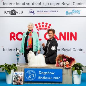 E BISmalteser EINDHOVEN 2017 Kynoweb Kynoweb-Ernst-von-Scheven 20170205 17 58 59