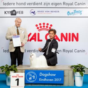 G 9 1 EINDHOVEN 2017 Kynoweb Kynoweb-Ernst-von-Scheven 20170205 16 48 48