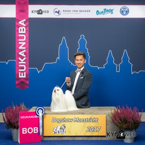 BEST OF BREED 1004 DOGSHOW MAASTRICHT 2017 Kynoweb Kynoweb-Ernst-von-Scheven 20171001 14 07 22